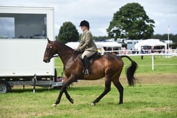 05 HCR Ridden Ex Racehorse