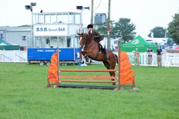 20 Training Stakes 90cms