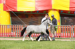 E34_1127 2026