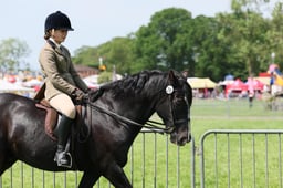 12 RIHS SSADL Ridden 24 yrs & over