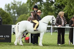 E30_3658 2026