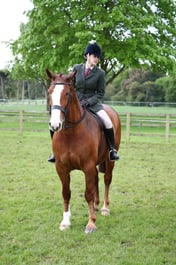 CL 16 Senior Ridden Mixed Age