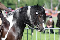 C33_0334 2026