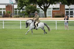 13 Ridden Dartmoor