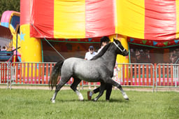 E34_1306 2026