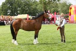 E34_2525 2026