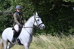 23 PERFORMANCE PONY 158cm