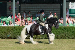 S61_0462 2026