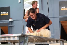 C68_3808 2026