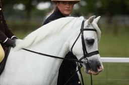 E30_3540 2026