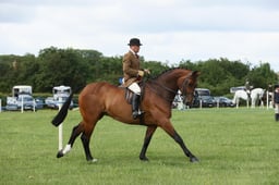 E36_0612 2026