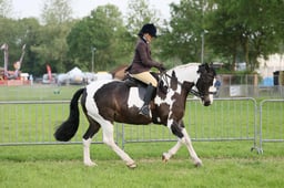 C34_0059 2026