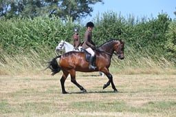 S60_0637 2026