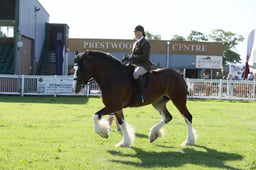 E33_0374 2026