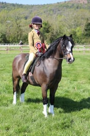 C19_1026 2026