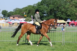 C33_0622 2026