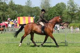 C33_1258 2026