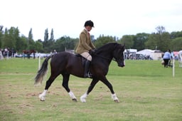W36_1460 2026