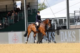 Working Hunter Championship