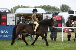 E30_4733 2026