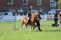 H33_4017 2026
