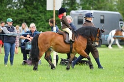 29 SEIB YHL Lead Rein