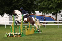 H300 Senior British Novice