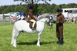 E33_4861 2026