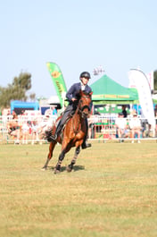 U60_0272 2026