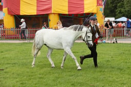 E34_2943 2026