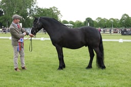 W29_0782 2026