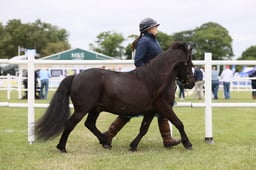 E44_1731 2026