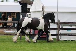 S28_9627 2026