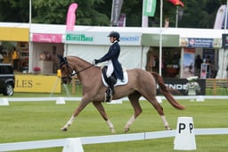 105 MGH HILDARE HARLEQUIN