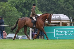 Ridden Hunter Lightweight