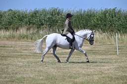 S60_0619 2026