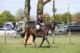 Novice Ridden Championship