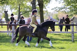 C19_1039 2026