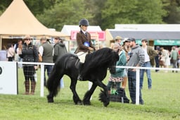 E30_3024 2026