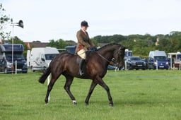 E36_0042 2026