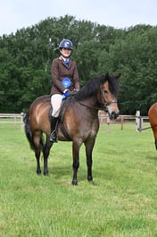 H44 Ridden New Forest