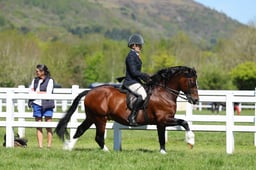 H19_0435 2026