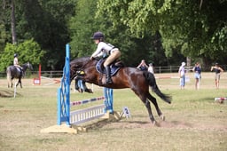 567 Endymions Aces High