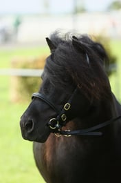 E34_0005 2026