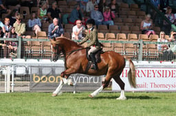 C68_1355 2026