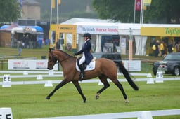 163 HILDARE EASTON D'ECLIPSE