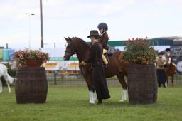 565 HOYS Lead Rein of Hunter Type