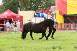 E34_2877 2026