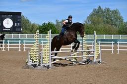 203 THE CLOVER CHOICE