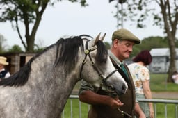 111 Small Breeds Youngstock